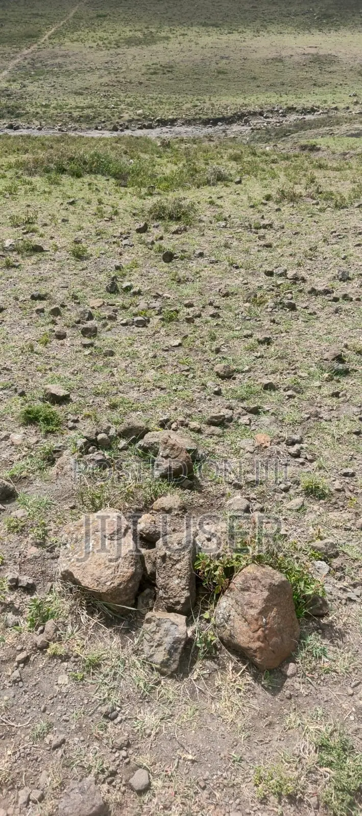 Plot for Sale 1/8th Acre (50 * 100)