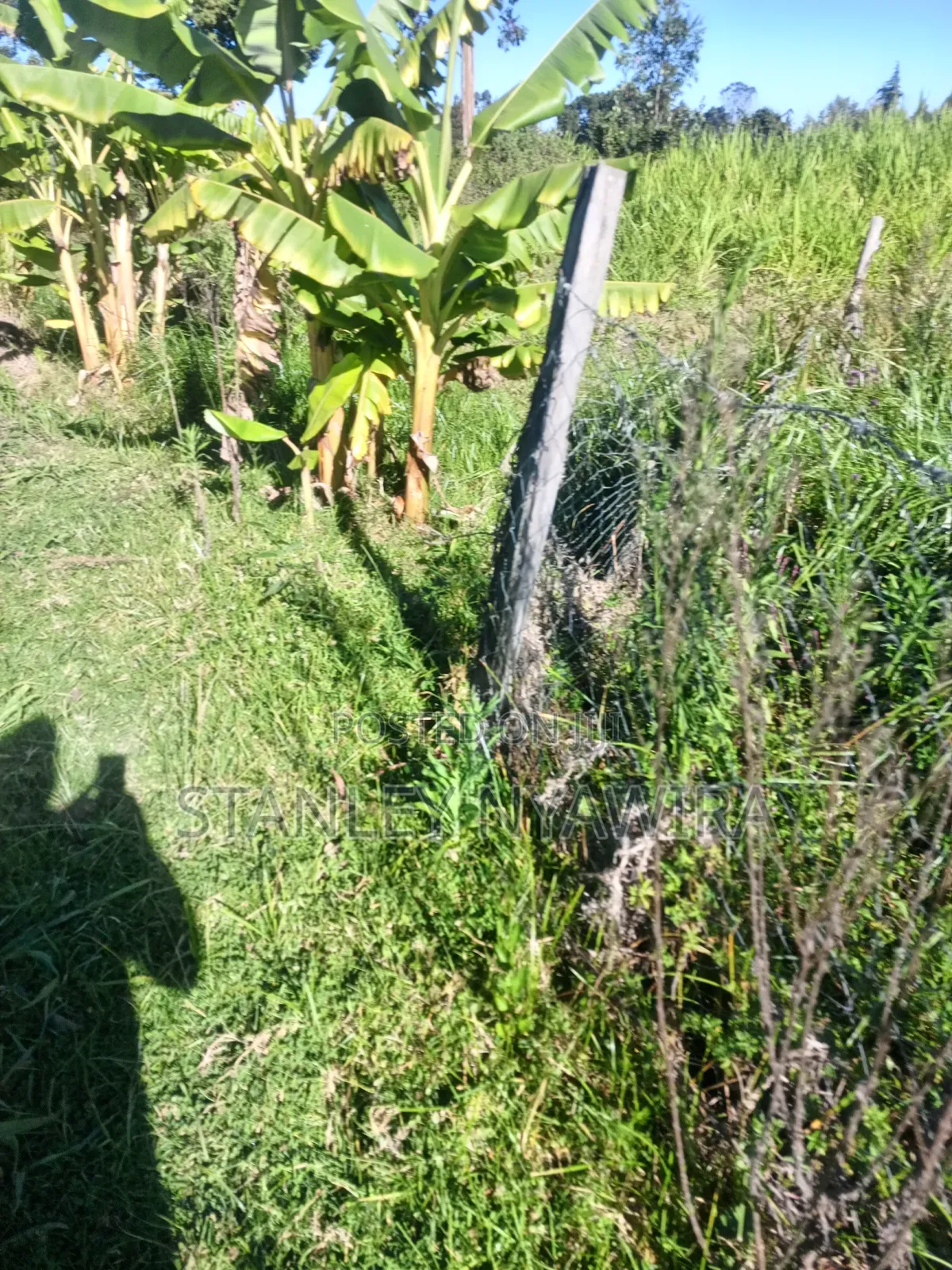 One and Quarter Land for Sale Nanyuki CBD