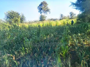 One and Quarter Land for Sale Nanyuki CBD