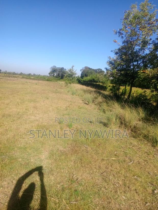 53 Acrea on Sale Nanyuki via Nyeri Highway - thumbnail 2
