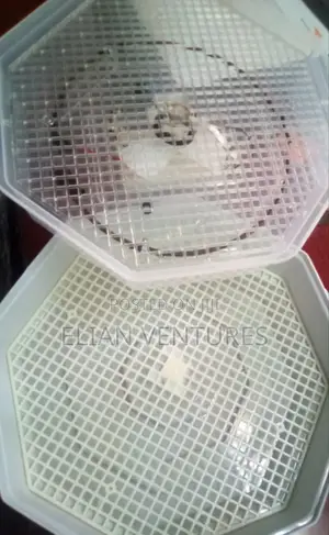 New Brand 60 Eggs Manual Incubator