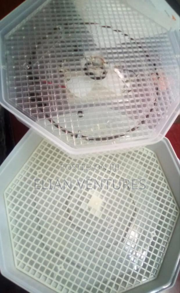 New Brand 60 Eggs Manual Incubator
