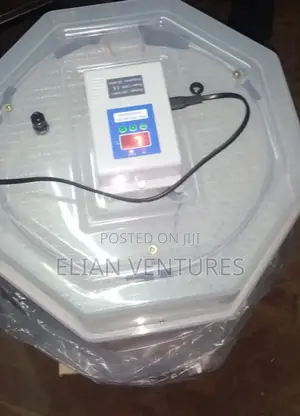 Newly Arrived 60 Eggs Manual Incubator