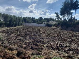 1/4 Plot for Sale in Kipkenyo - thumbnail 2
