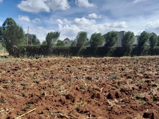 1/4 Plot for Sale in Kipkenyo - thumbnail 3
