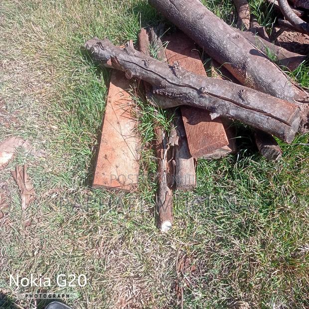 100 Acre at 26m - thumbnail 2