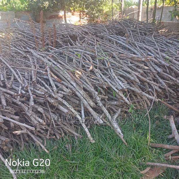 100 Acre at 26m - thumbnail 3