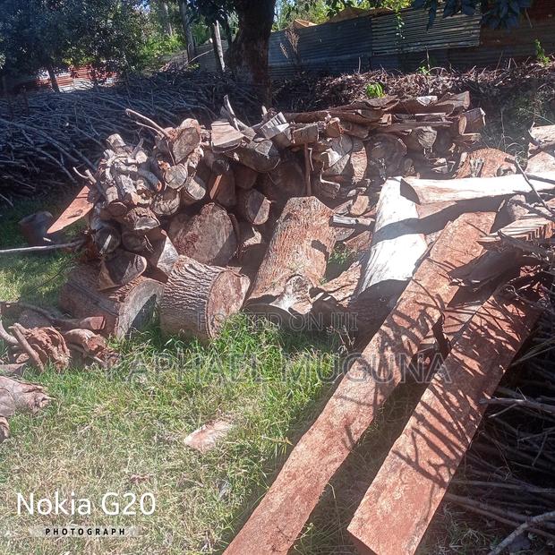 100 Acre at 26m - thumbnail 4