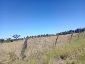 One Acre Nanyuki - main view