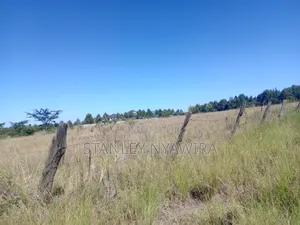 One Acre Nanyuki