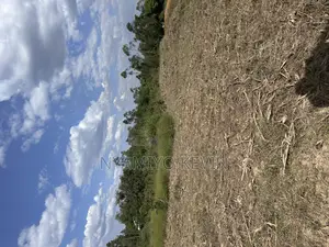 One Acre of Land in Ulumba Ligega