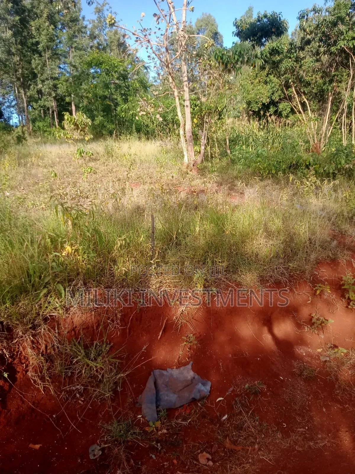 50 by 100 Plot on Sale at Maragi