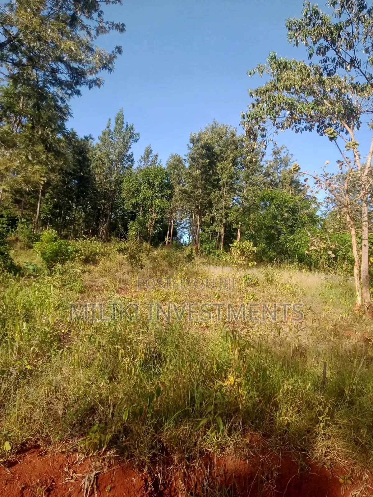 50 by 100 Plot on Sale at Maragi