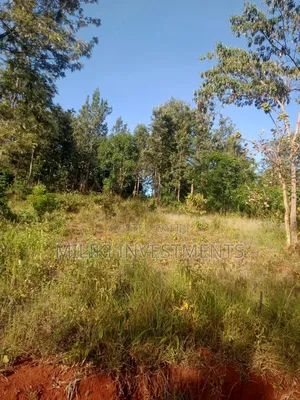 50 by 100 Plot on Sale at Maragi