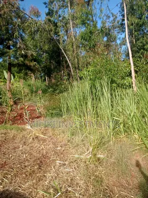 50 by 100 Plot on Sale at Maragi