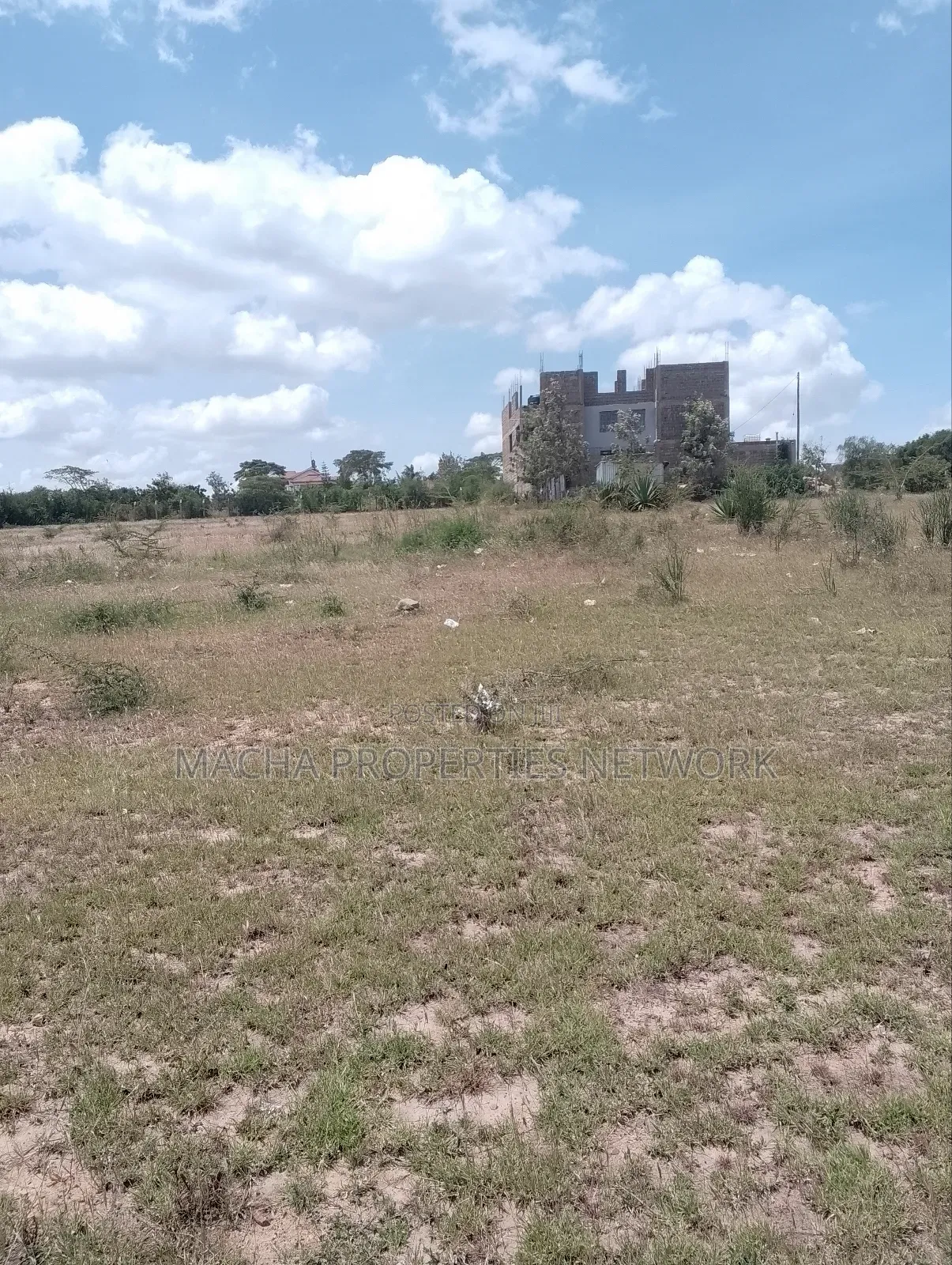 Kyumbi Junction 50 by 100ft
