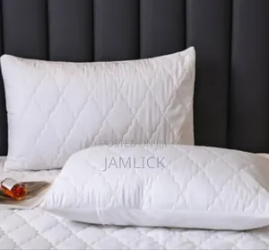 Waterproof Pillow Protector –Cl