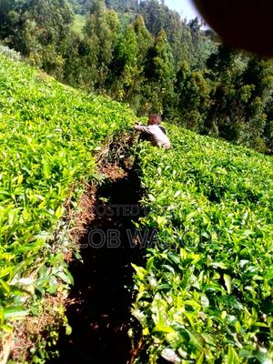 Land, Quick Sale - thumbnail 2