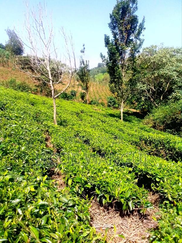 Land, Quick Sale - thumbnail 3