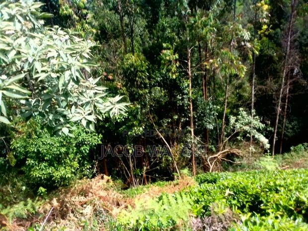 Land, Quick Sale - thumbnail 4