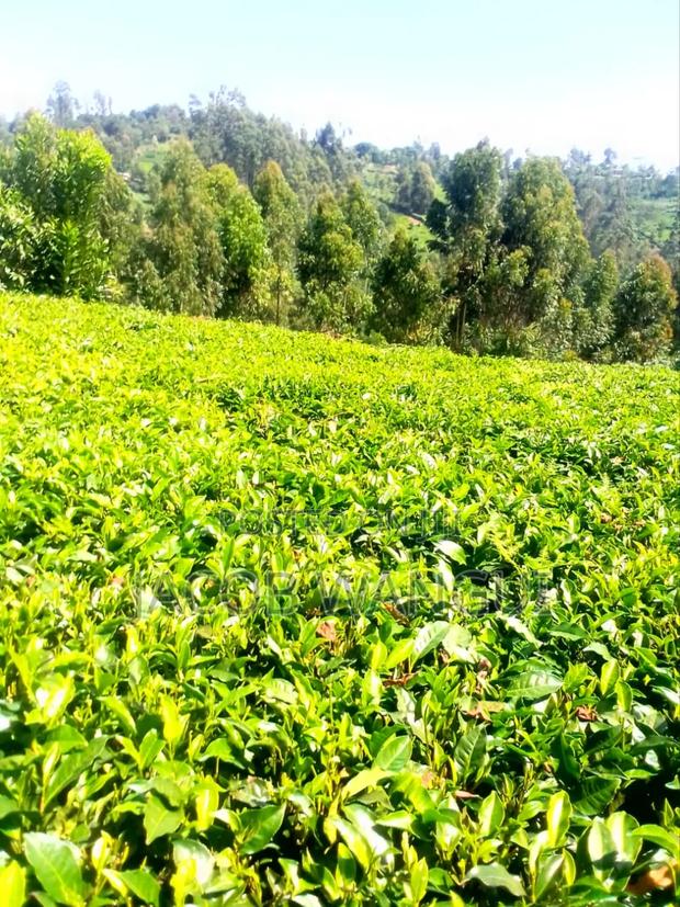 Land, Quick Sale - thumbnail 5