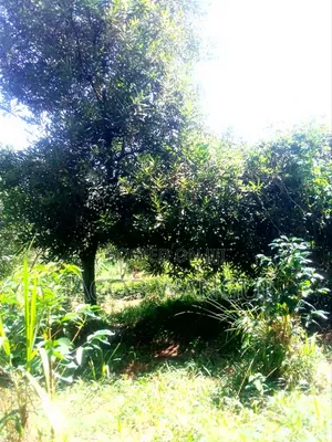 Land, Quick Sale.