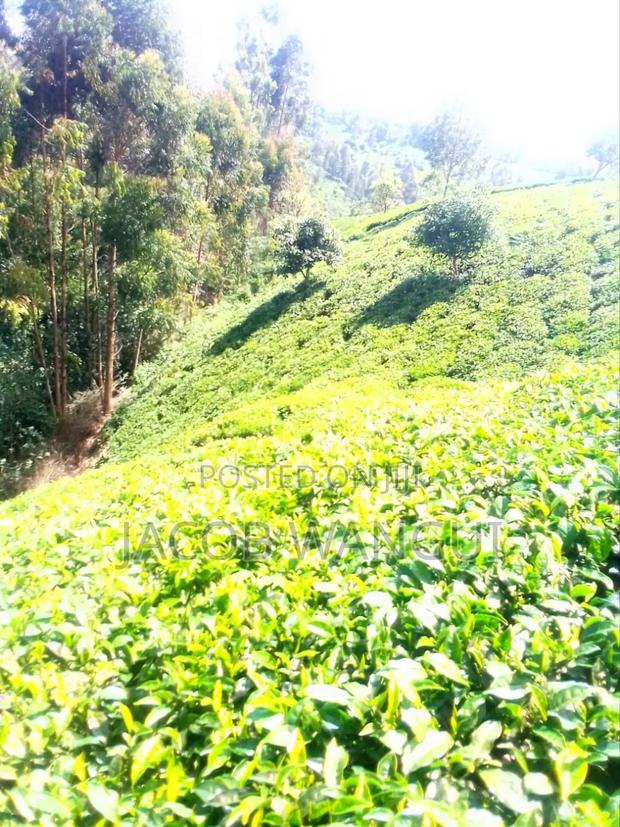 Land, Quick Sale - thumbnail 8