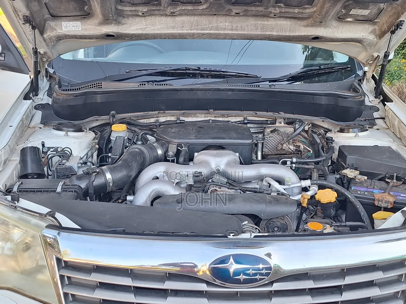 Subaru Forester 2010 Pearl