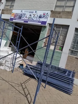 Durable Scaffolding Ladders