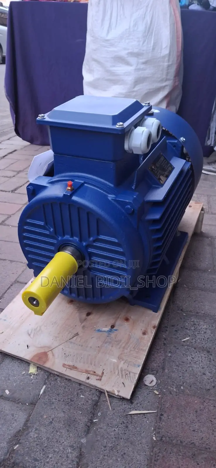 Stcl Italy Brandthree Phase Electric Motor 25hp Low Speed