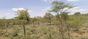 Quarter Acre Plot for Sale in Ngong Kimuka
