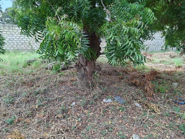 50 X100 Plot in Bamburi - thumbnail 2