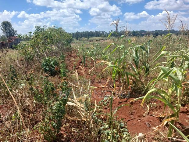 Thika 1/4 Residential Plots. - thumbnail 4