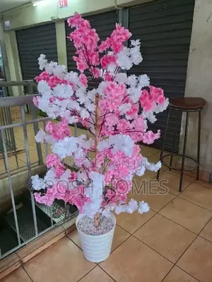Cherry Decorative Home Plants