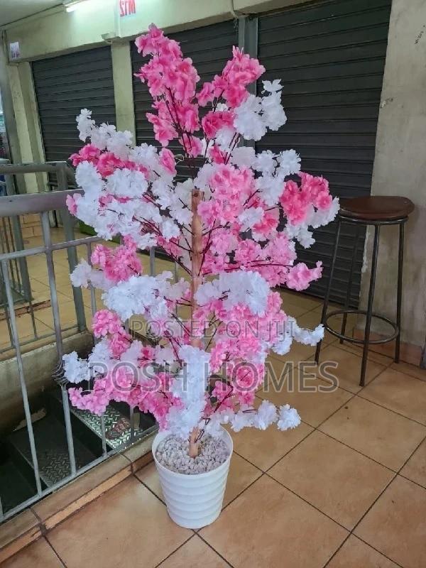 Cherry Decorative Home Plants