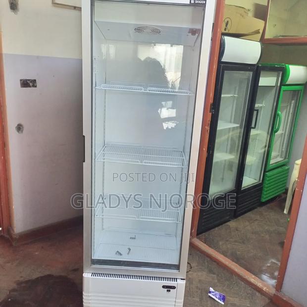 Well Maintained Chiller ( White Clean)