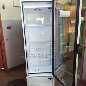 Well Maintained Chiller ( White Clean)