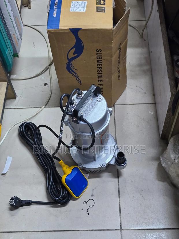 Premier QDX 1hp Shallow Well Pump With Cable - main view