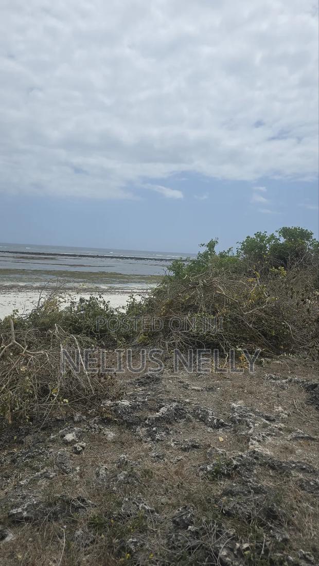 2.5 Acres Chumani Beach Front Available for Sale