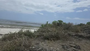 2.5 Acres Chumani Beach Front Available for Sale