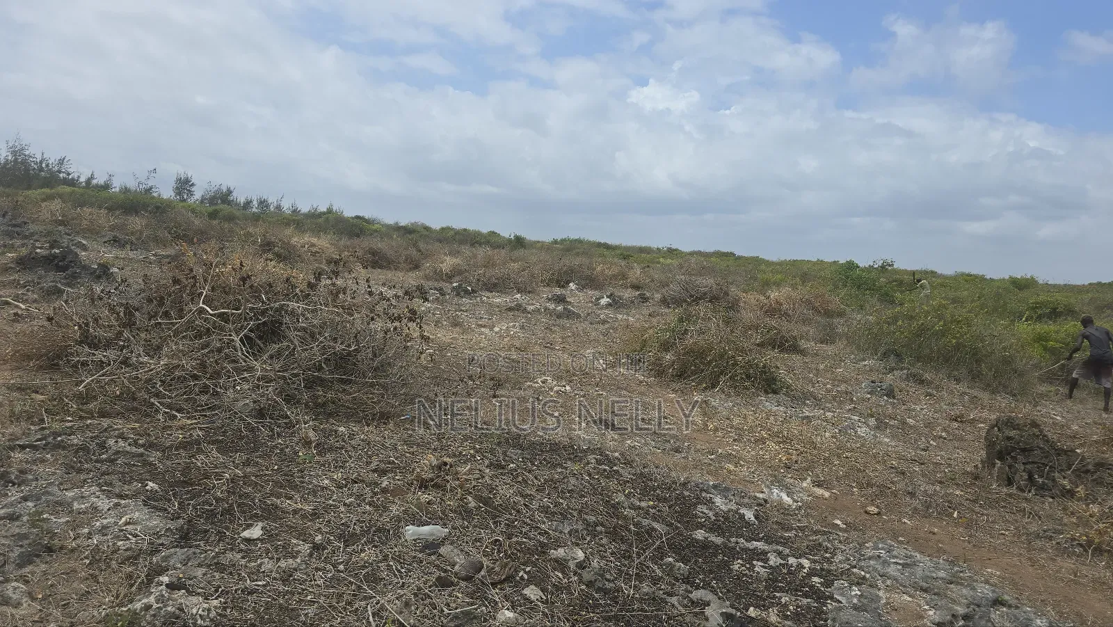 2.5 Acres Chumani Beach Front Available for Sale