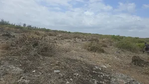 2.5 Acres Chumani Beach Front Available for Sale