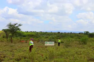 Plots for Sale