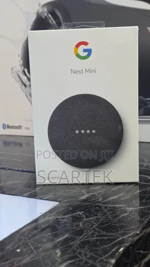 Google Nest Mini