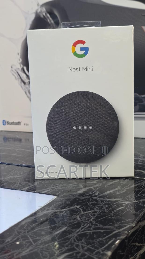 Google Nest Mini