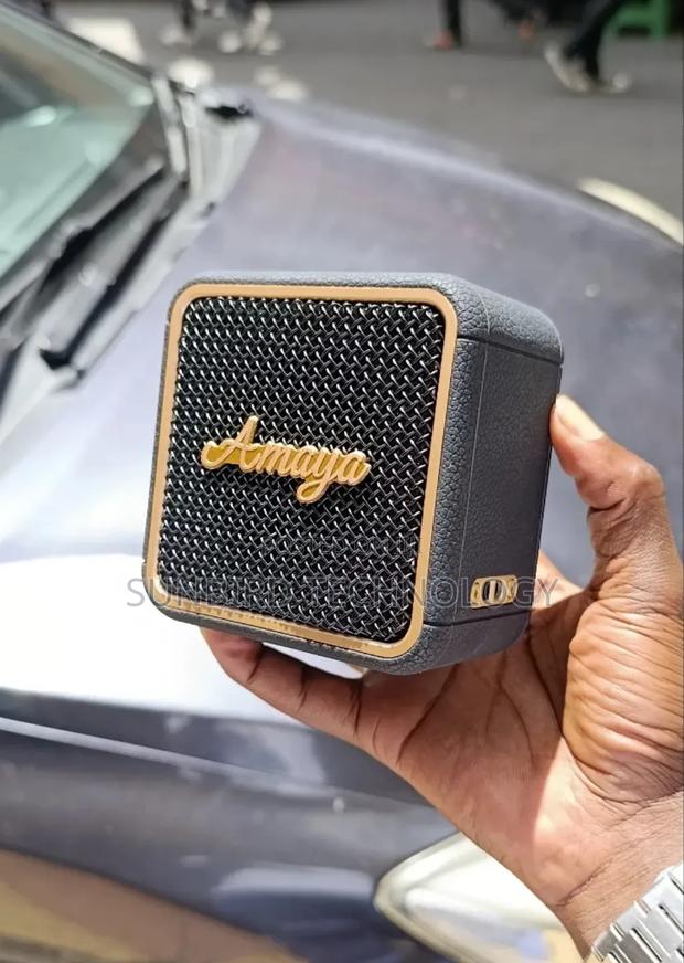 Amaya Asp-M2 Speaker - main view