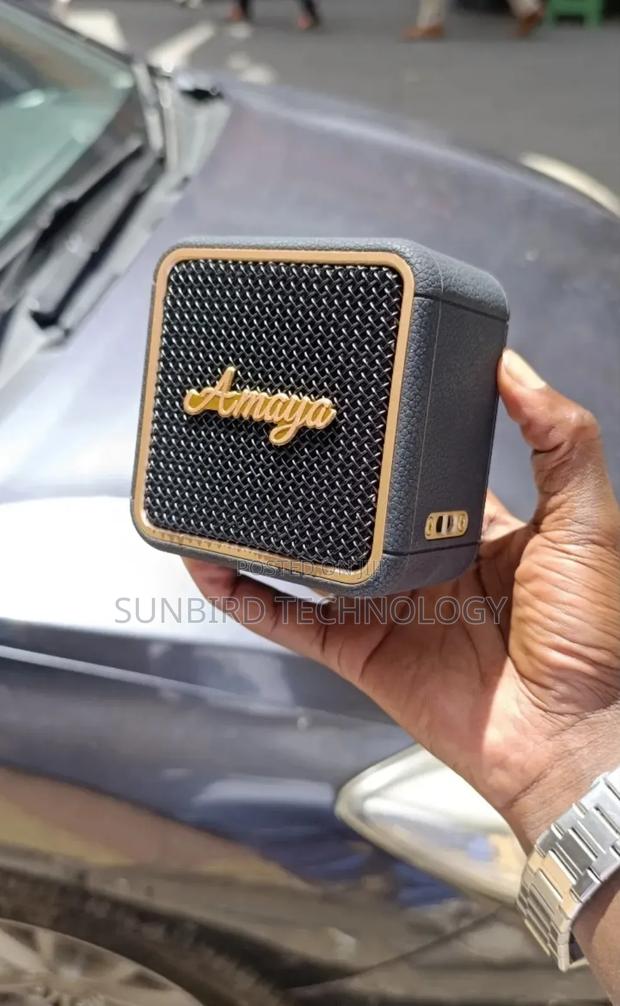 Amaya Asp-M2 Speaker - thumbnail 3