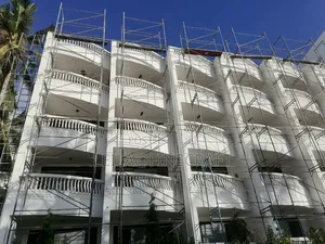 Scaffolding Ladder For Painting