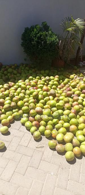 Apple Mango - main view