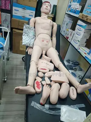 Adult Manikin